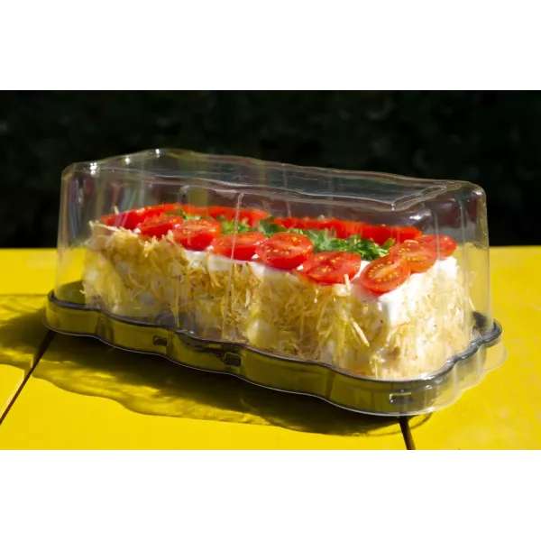 TORTERA G61FA RECT. 270X135X105