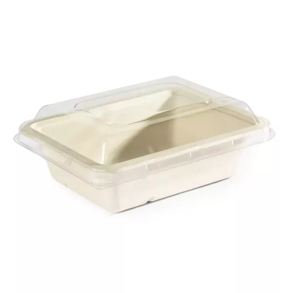 BANDEJA 103 BAGAZO CAÑAPACK X 100U 