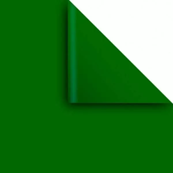 PAPEL AFICHE MURESCO VERDE OSC. 70X100