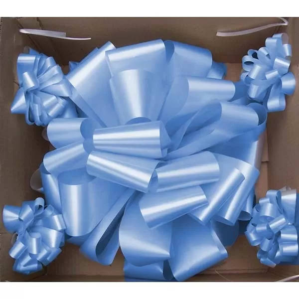 MOÑO CELESTE C/PUNTERAS P/AUTO