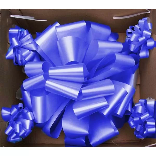 MOÑO AZUL C/PUNTERAS P/AUTO