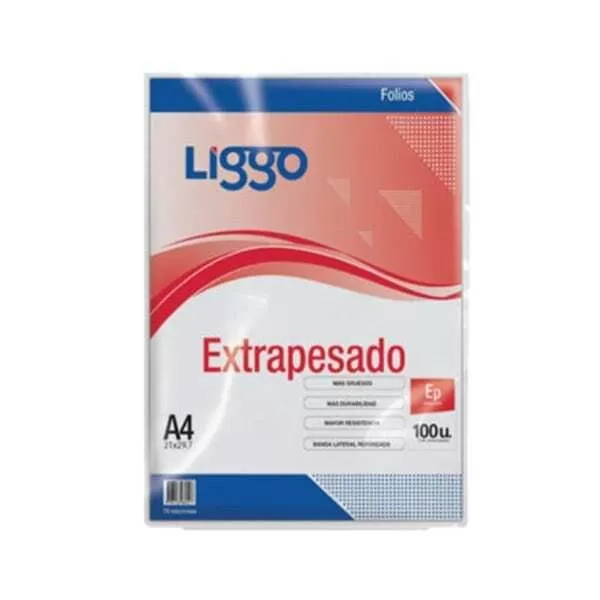 FOLIO EP A4 LIGGO X 100U (70MIC)