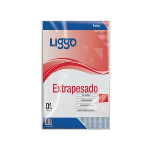 FOLIO EP OFICIO LIGGO X 100U (70MIC)