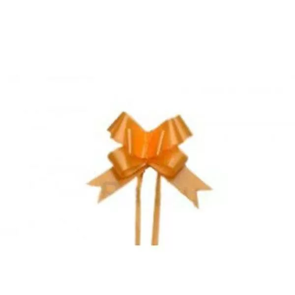 MOÑO MINI RAPIDO SURTIDO LISO X 100 U.