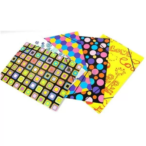 CARPETA 3 SOLAPAS CARTON OF FSIA. THE PEL