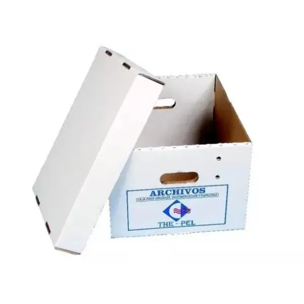 CAJA ARCHIVO THE PEL BLANCA