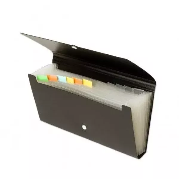 CLASIFICADOR THE PEL CHEQUE 12 DIV. C/ELAST.