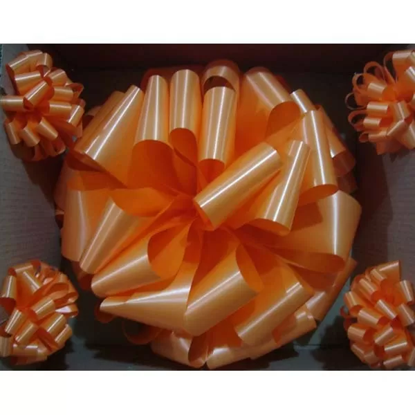 MOÑO NARANJA C/PUNTERAS P/AUTO