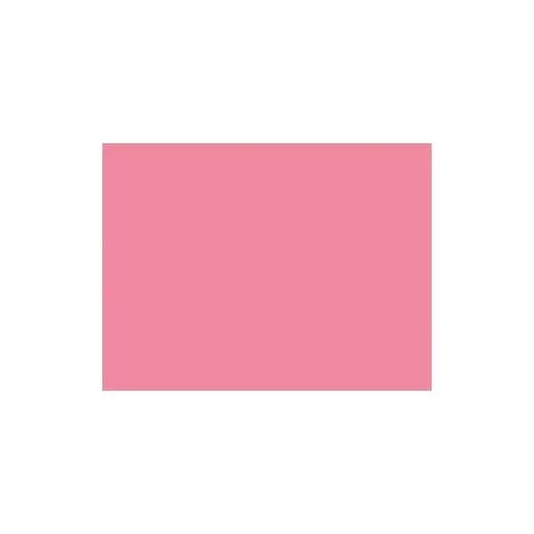 PINTURA ACR. EQ 50CC ROSA COUNTRY 717