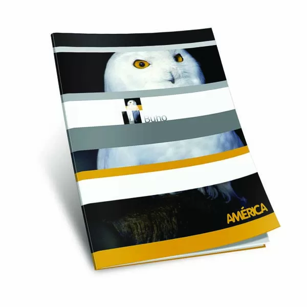 CUADERNO AMERICA T/F 24H LISO