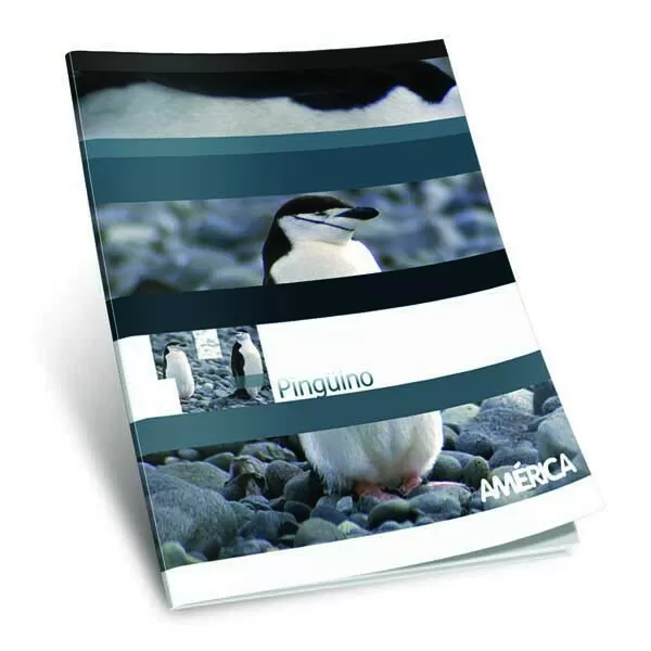 CUADERNO AMERICA T/F 24H RAYA