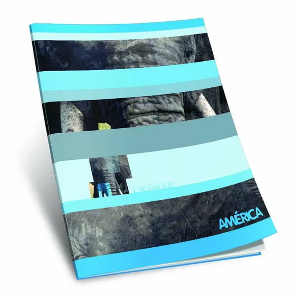 CUADERNO AMERICA T/F 48H CUAD.