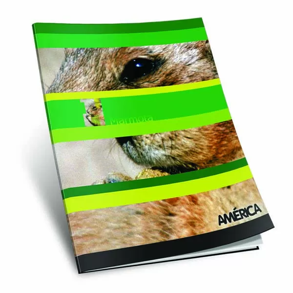 CUADERNO AMERICA T/F 48H LISO