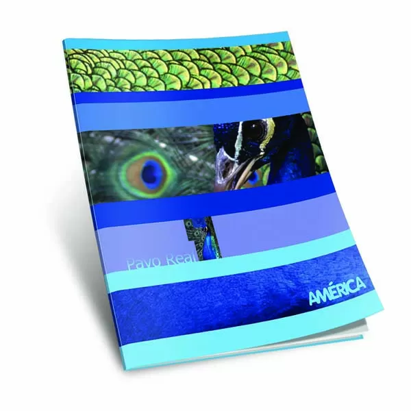 CUADERNO AMERICA T/F 48H RAYA