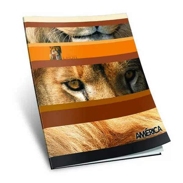 CUADERNO AMERICA T/F 24H CUAD.