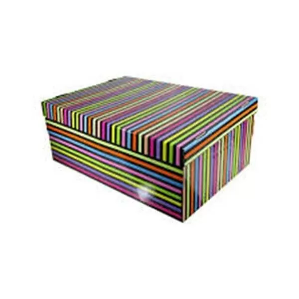 CAJA GSM CHICA 31X22X13 CM RAYA