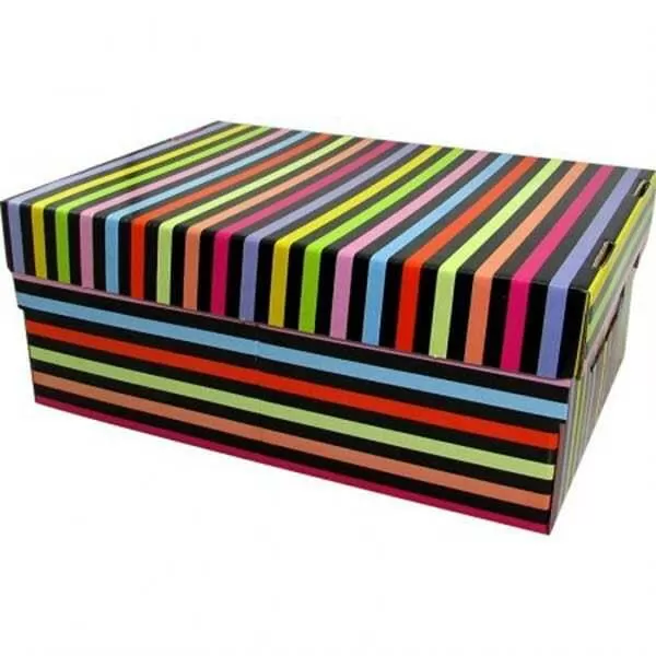 CAJA GSM MEDIANA 39X30X15 CM RAYA