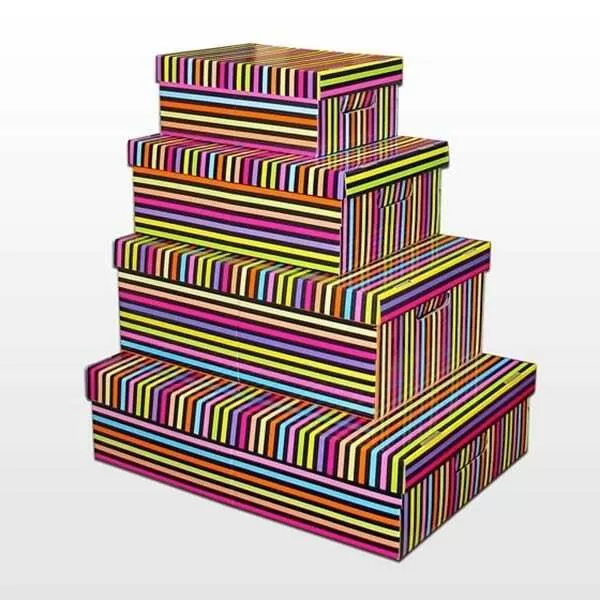 CAJA GSM GRANDE 48X33X18 CM RAYA