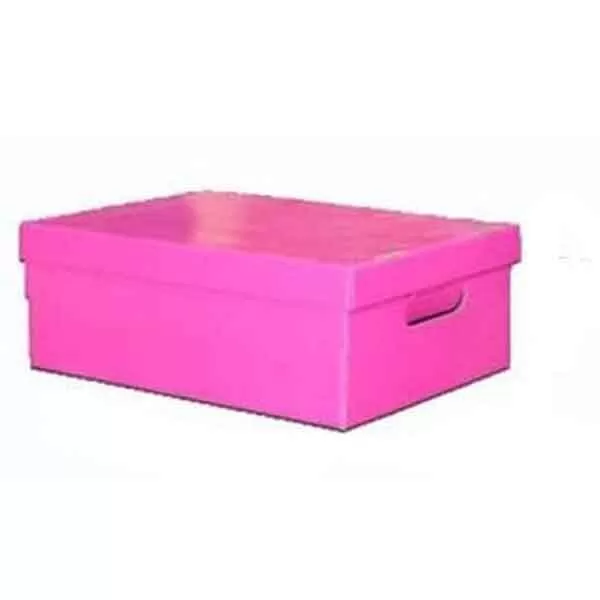 CAJA GSM GRANDE 48X33X18 CM FUCSIA