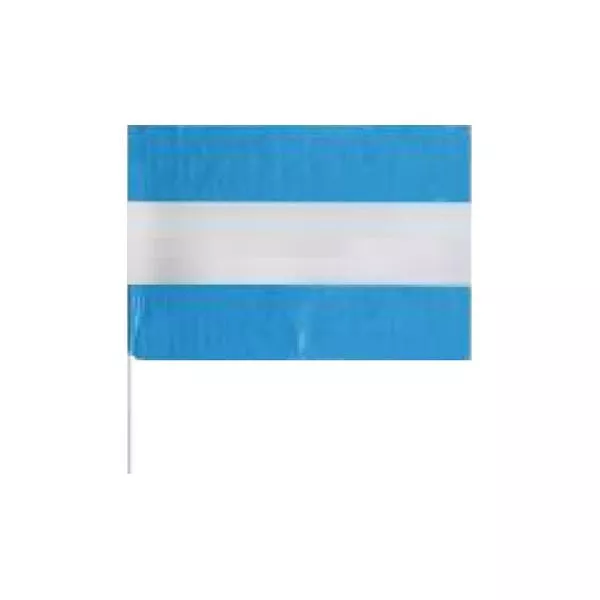 BANDERA PLAST. ARGENTINA 60 X 70CM