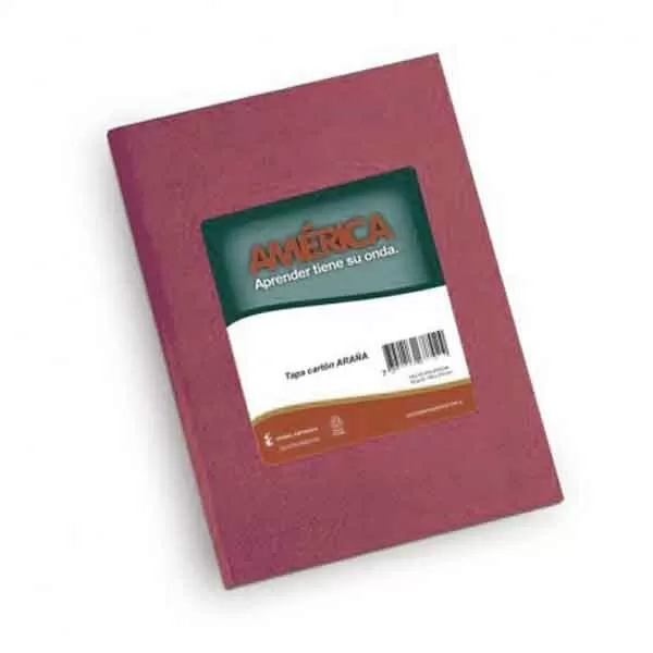 CUADERNO AMERICA ARAÑA ROSA 16X21 42H RA