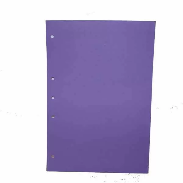 CARTULINA CORTADA A4 1028 - VIOLETA