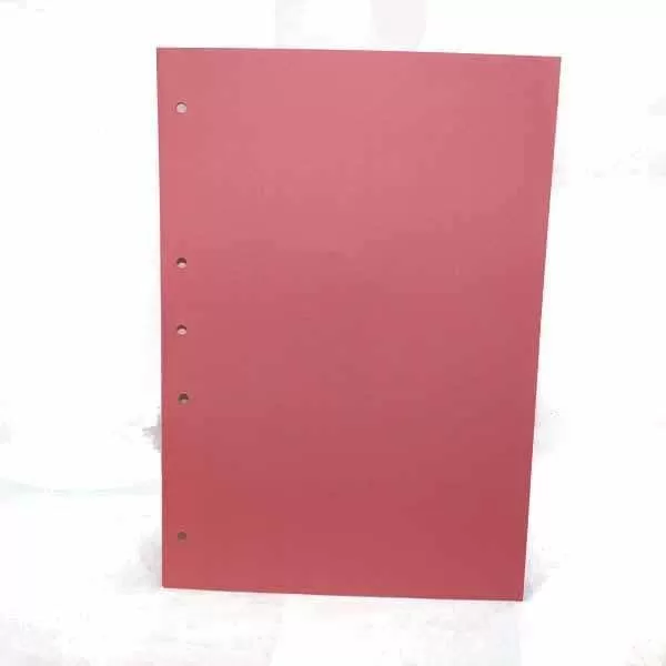 CARTULINA CORTADA A4 1028 - SALMON