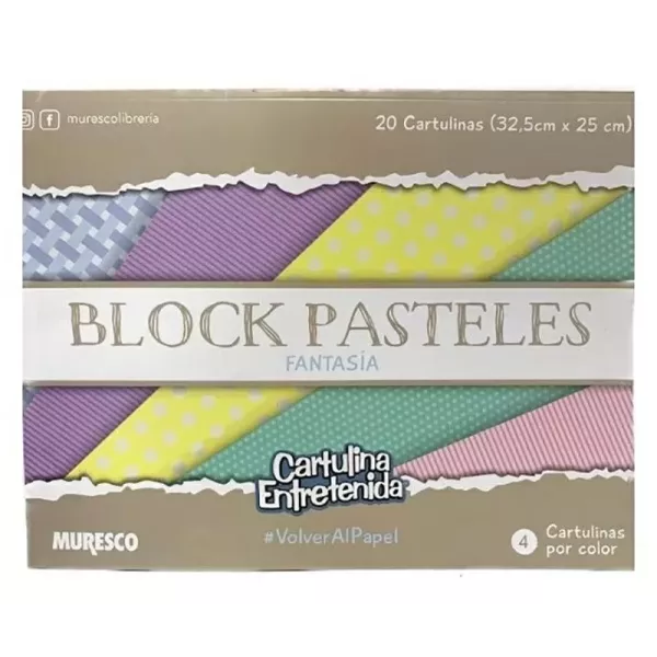 BLOCK C. ENTRET. PASTELES MURESCO X 20H