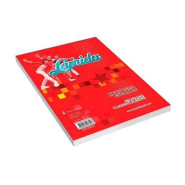 REP. ESCOLAR LAPRIDA N°3 24H CUAD.