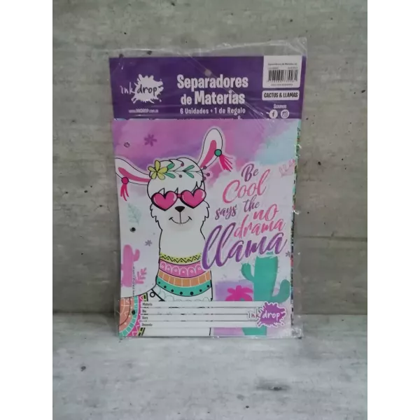 REGLA STENCYL FLEX UTIL UNO  20CCM X 2U