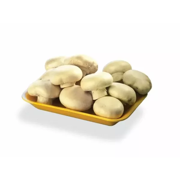 BAND. EXPANDIDO BANDEX L N° 621 X 100U