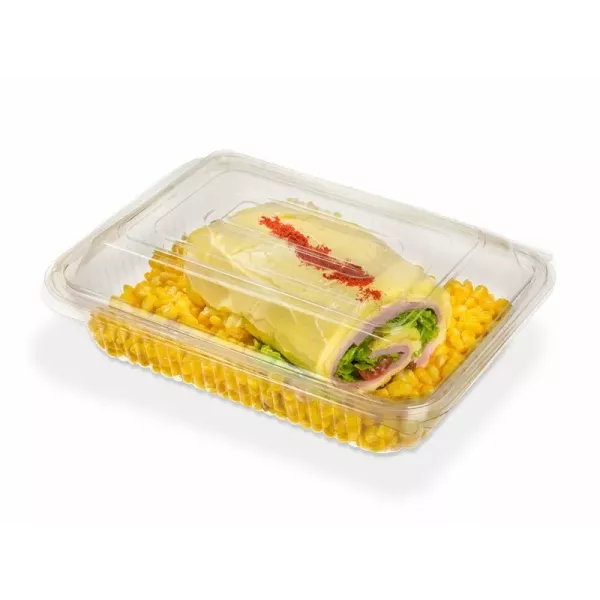 ESTUCHE BANDEX 147 PET BISAGRA X 100U (270X205X75)