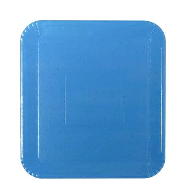 BANDEJA CARTON CELESTE REF. 23 X 28CM (1000G)