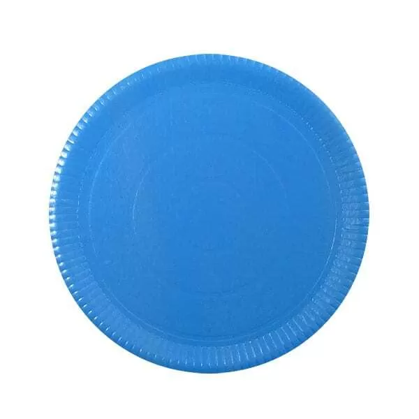 PLATO CARTON CELESTE REF. 25CM