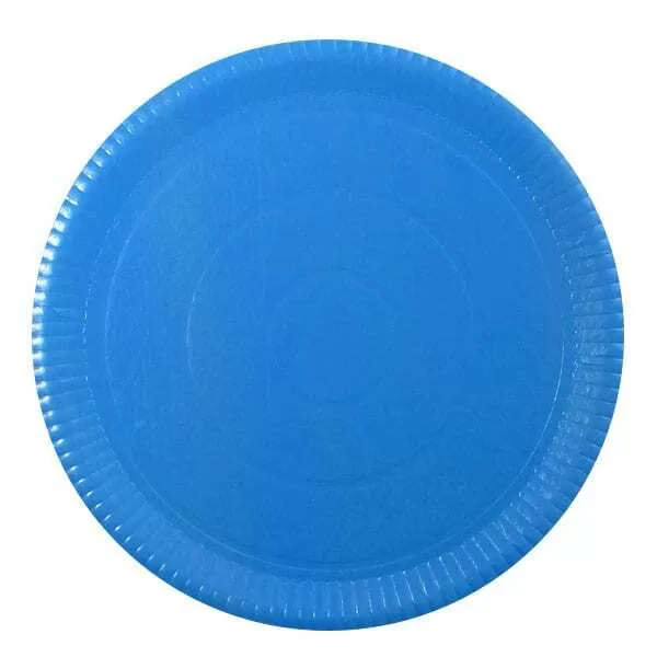 PLATO CARTON CELESTE REF. 33CM