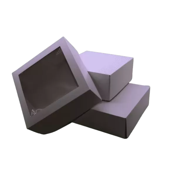 CAJA MULTIUSO CON VISOR 24,5X24,5X10 CM