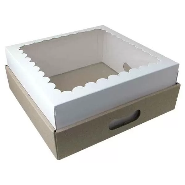 CAJA + BANDEJA CON VISOR 25X25X12 CM X 10U