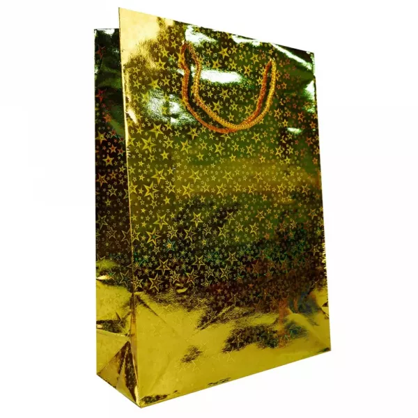 BOLSA HOLOGRAFICA C/CORDON Nº2 (18X21)