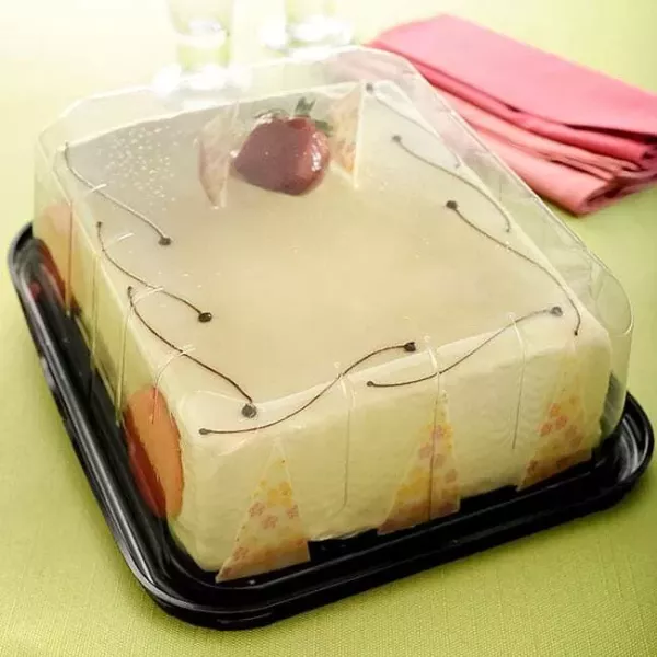 TORTERA G45CT RECT. 264X224X91