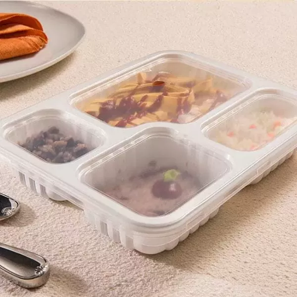 VIANDERA G324 APTO MICO 4 DIV. 270X210X45 X 100U