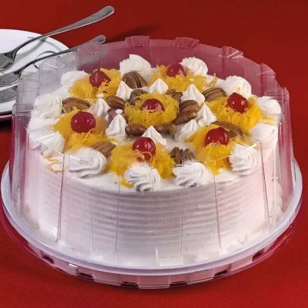 TORTERA G50ANE DELTA PROF. 270X105