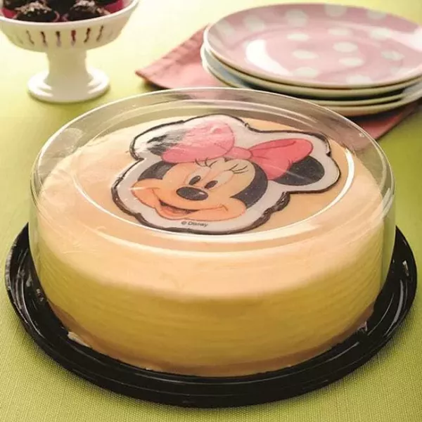 TORTERA G37CT 250X80