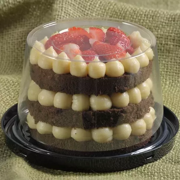 TORTERA G31CT MINI 165x95