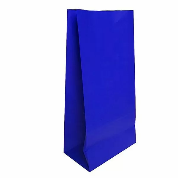 BOLSA FB3 AZUL 12x7x24 X 50u
