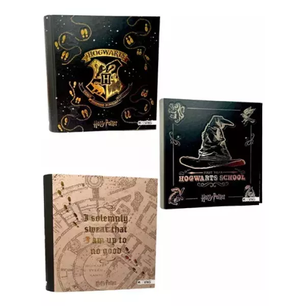 CARPETA HARRY POTTER 3 X 40 MOOV. 1001222