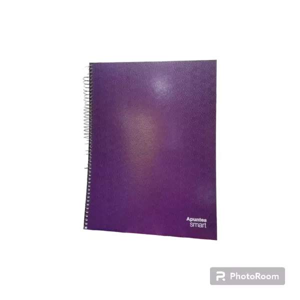 CUADERNO APUNTES SMART UNIV. T/S 100H LISO